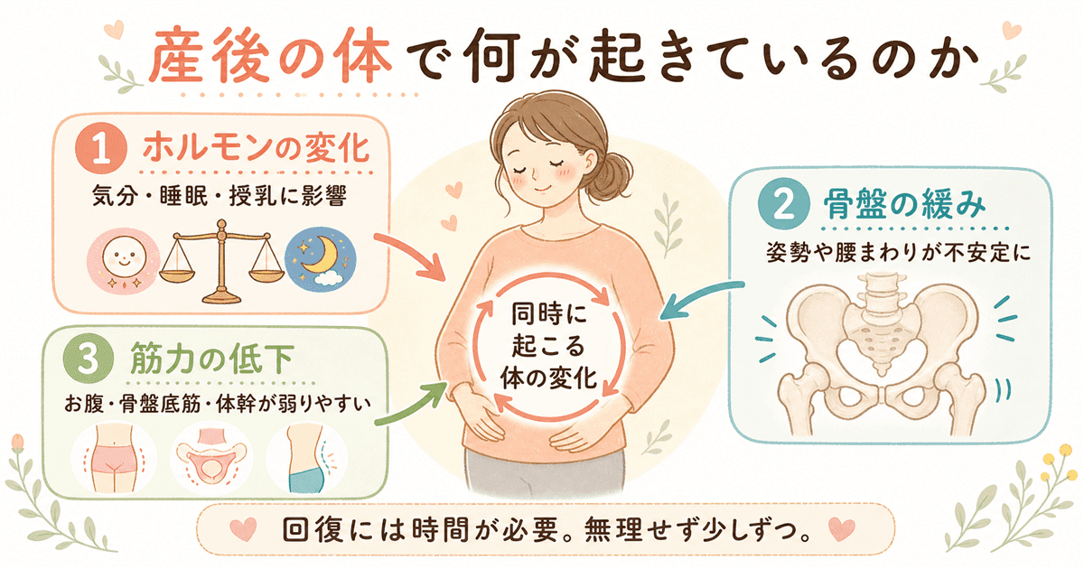 産後の体で何が起きているのかの図解