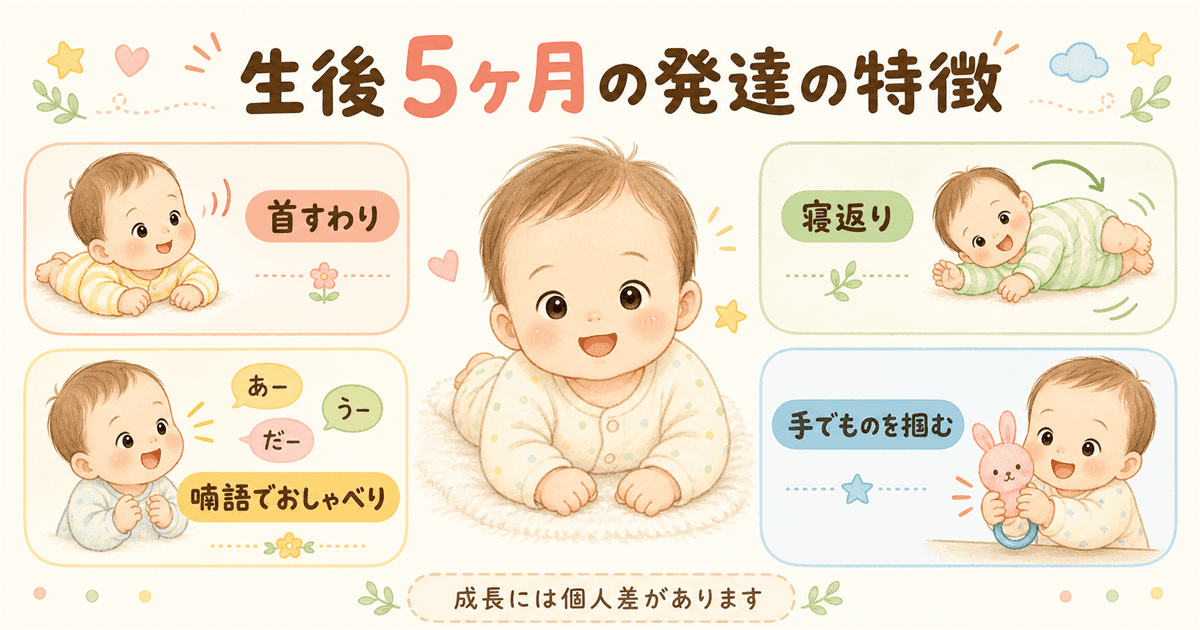 生後5ヶ月の発達の特徴の図解