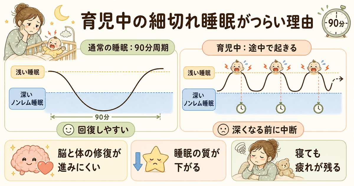 育児中の細切れ睡眠が特に問題な理由:深い眠りの分断と入眠直後90分の重要性