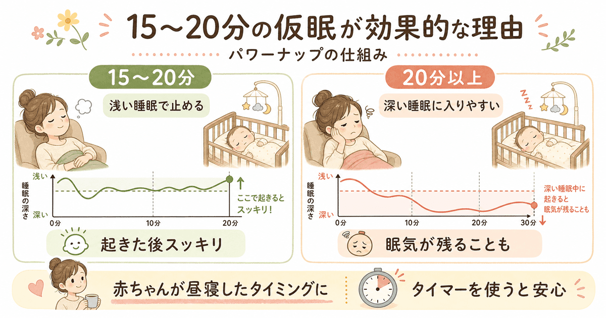 15〜20分の仮眠(パワーナップ)が効果的な理由と仕組み
