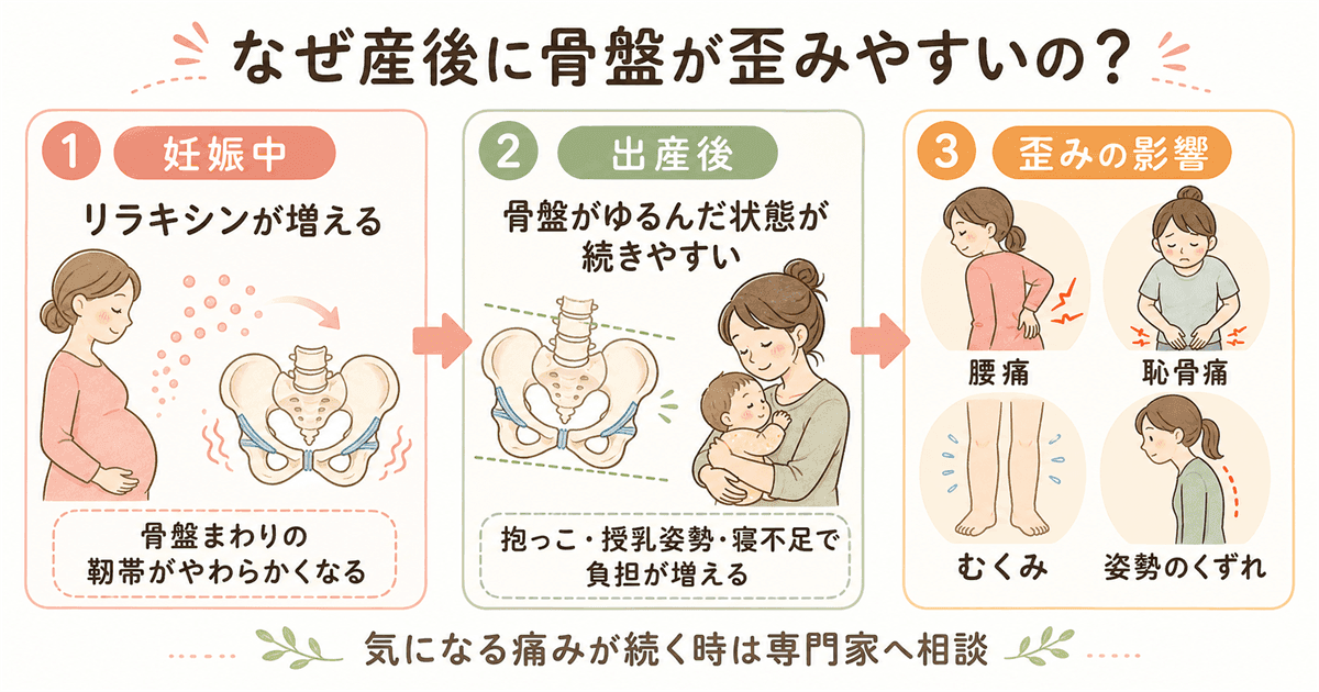 なぜ産後に骨盤が歪みやすいのか:リラキシンと骨盤の変化