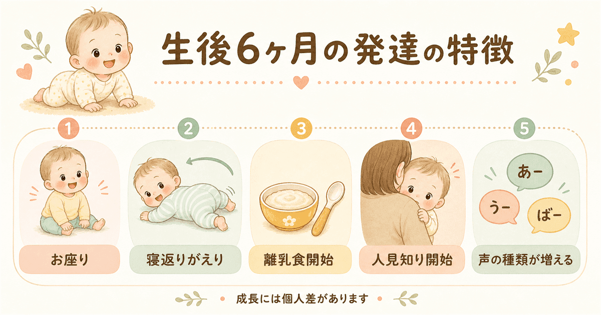 生後6ヶ月の発達の特徴：運動・手・コミュニケーション・離乳食