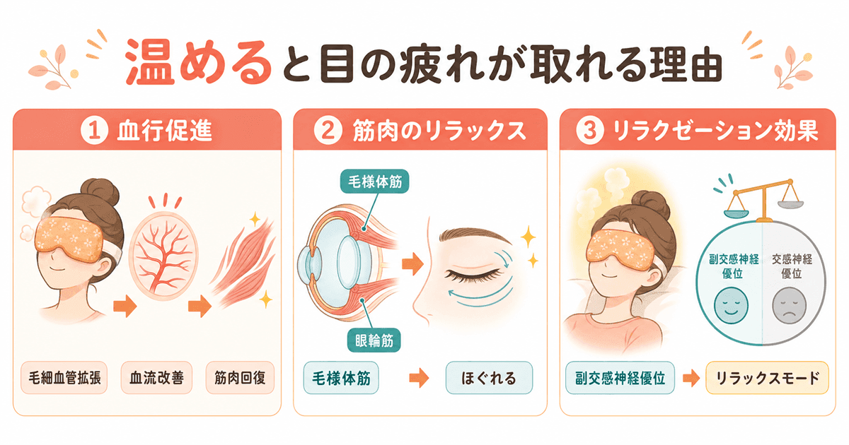 なぜ温めると目の疲れが取れるのか：血行促進・筋肉リラックス・副交感神経