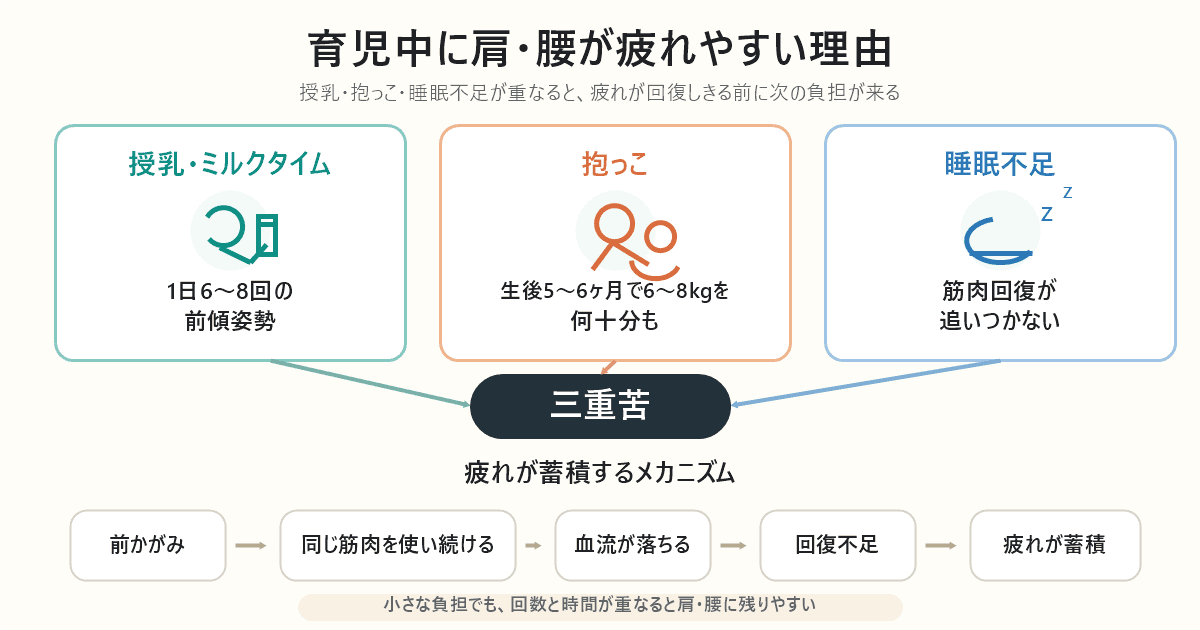 なぜ育児中は肩・腰が疲れやすいのか:姿勢の繰り返しと筋肉への負荷