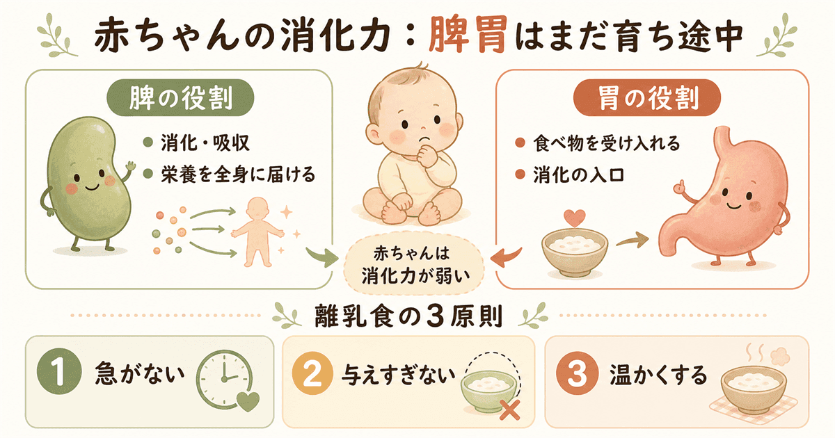 東洋医学から見た赤ちゃんの消化力:脾胃の未発達と温かい食事の大切さ
