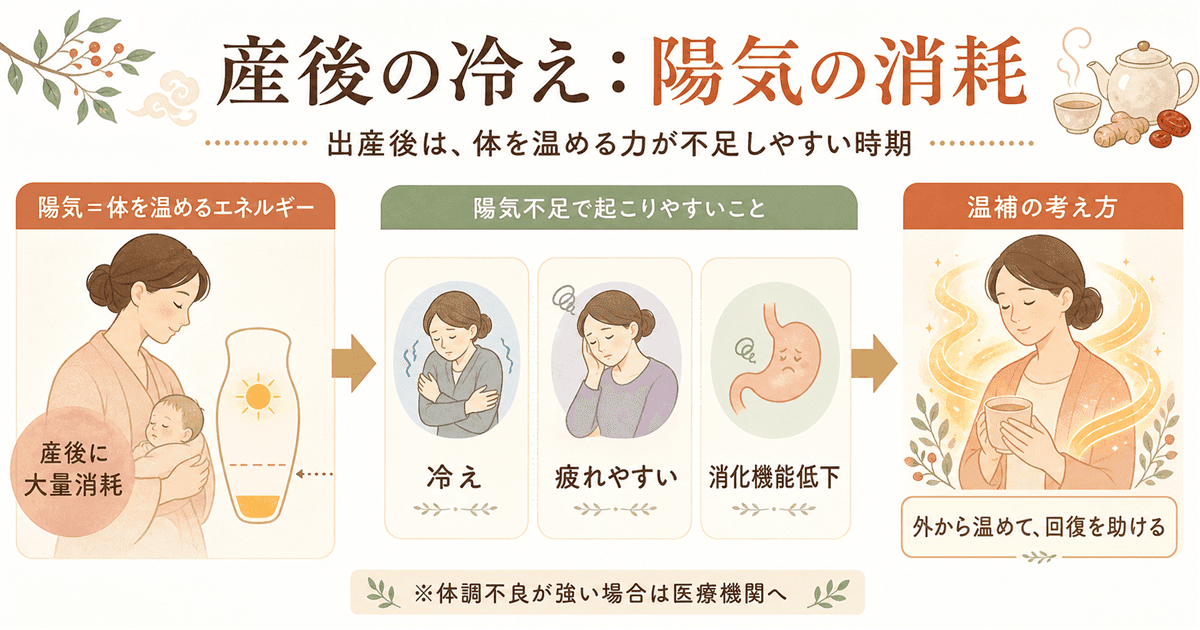 電気毛布の選び方:育児中の冷え対策に重要な5ポイント