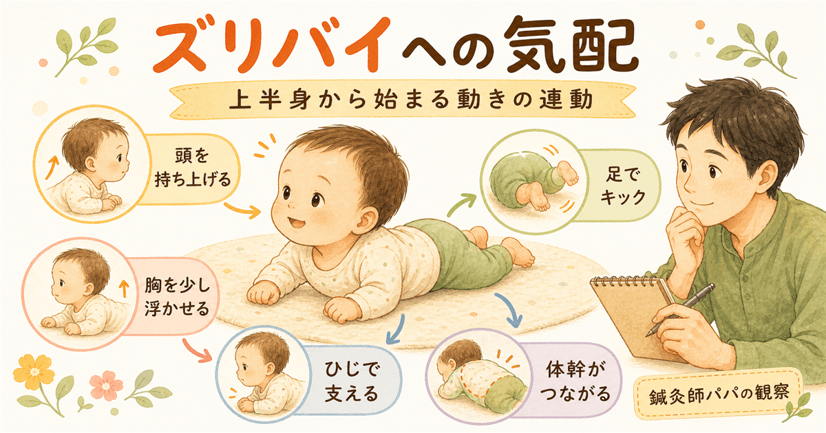ズリバイへの気配：上半身から始まる体の発達