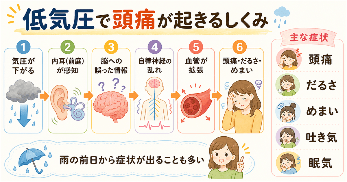 低気圧で頭痛が起きるしくみ