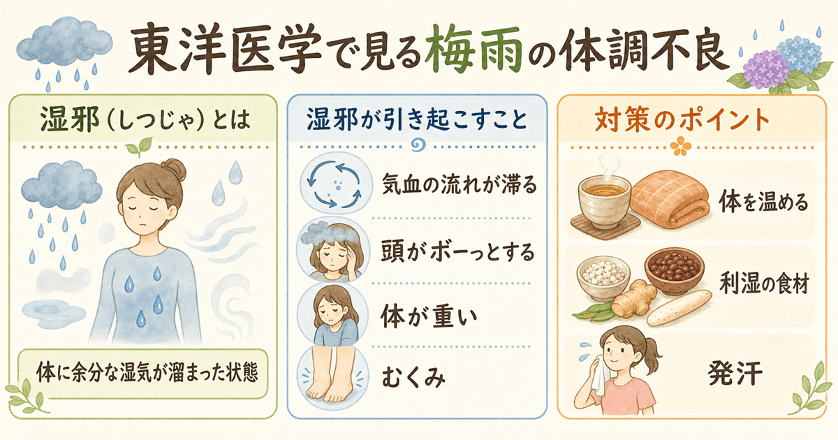 東洋医学で見る梅雨の体調不良:湿邪