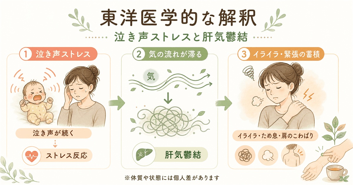 東洋医学的な解釈:泣き声ストレスと肝気鬱結