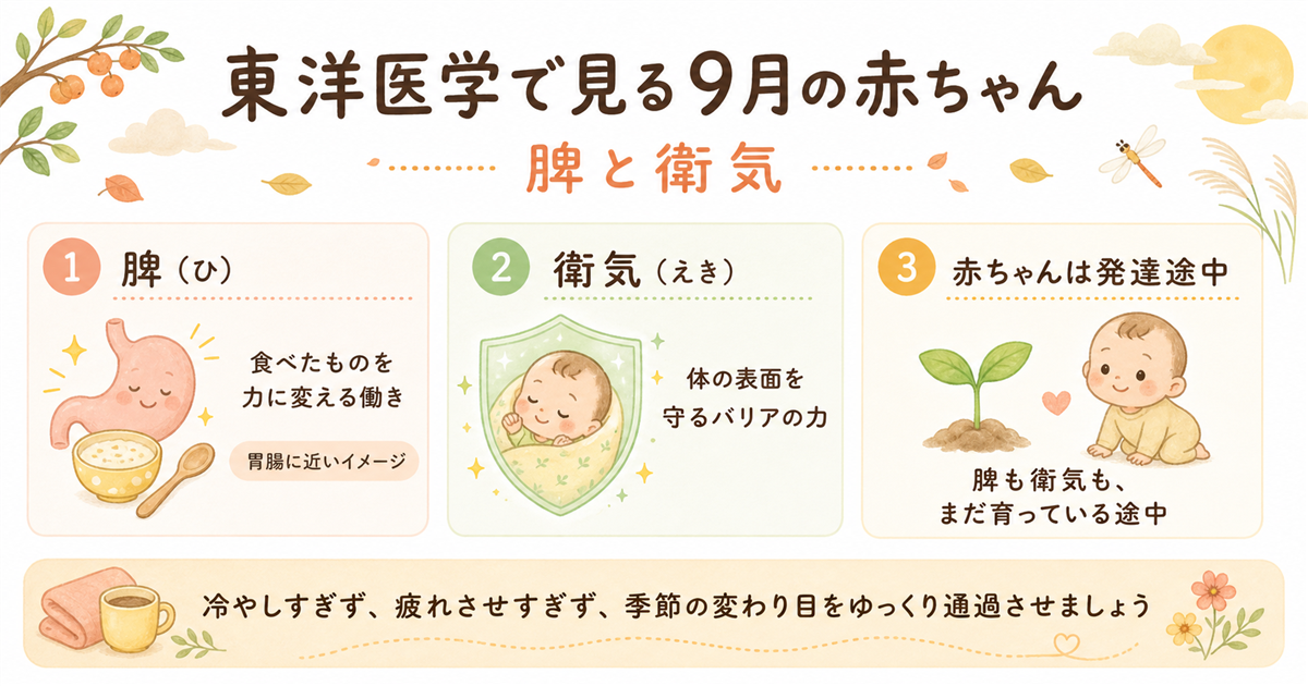 東洋医学で見る9月：脾と衛気