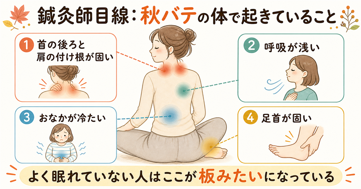 鍼灸師目線:秋バテの体で起きていること